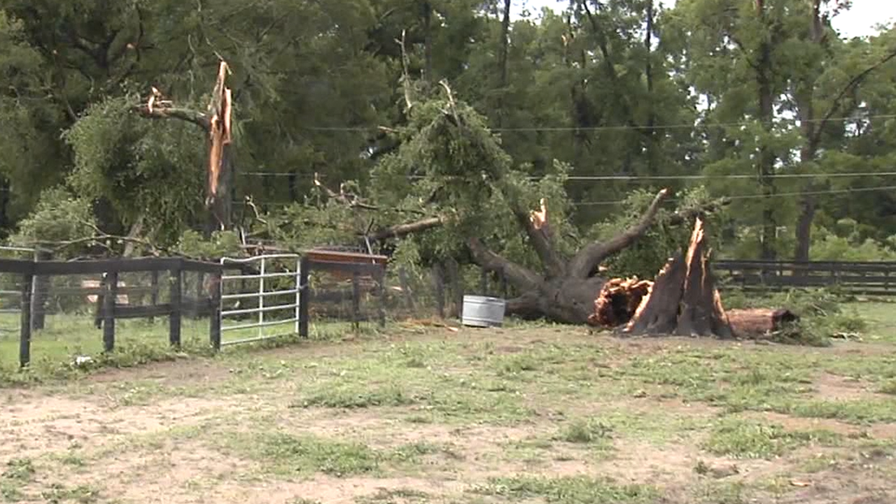 Confirmed: Tornado touched down in Marion County, National Weather ...