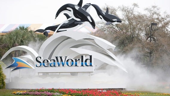 CEO of SeaWorld Entertainment Inc. steps down, interim CEO appointed