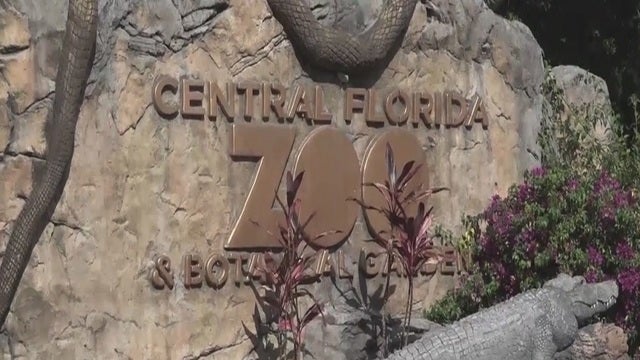 Central Florida Zoo to give free admission to children for a limited time