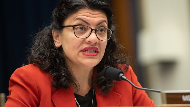 Tlaib calls for $20-an-hour minimum wage: 'I can't allow people to be living off tips'