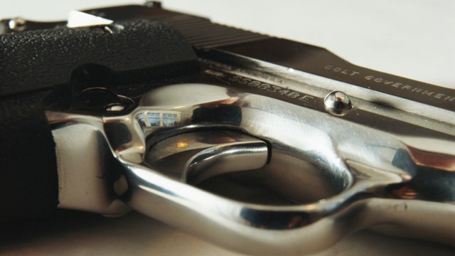 House democrats seek long-shot special session on gun violence