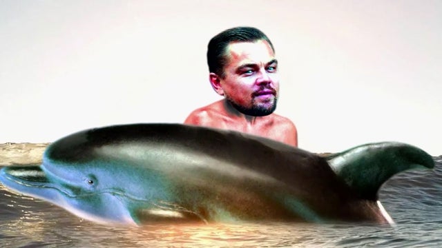 Leonardo DiCaprio is king of the... seas?