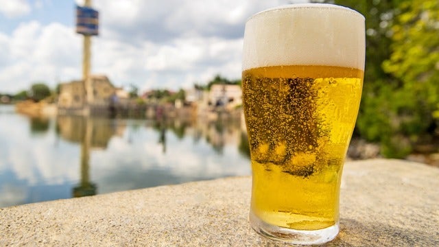 SeaWorld Orlando offers free beer to park guests this summer