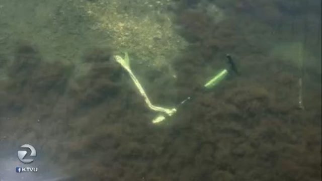 E-scooters being dumped into Oakland's Lake Merritt