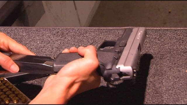 Appeal weighed in local gun regulations case