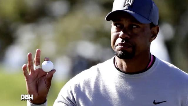 A fan pays $210,000 for golf lessons from Tiger Woods