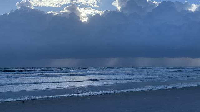 Don't swim: Dorian could have brought an increased risk of disease or illness to the beach