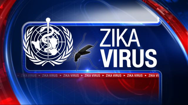 Florida Zika cases now top 800