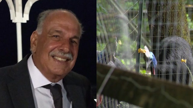 Deputies: Keeper killed by bird was likely retrieving egg