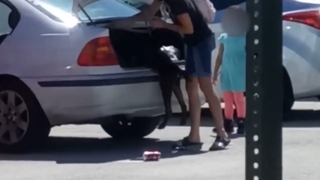 Woman accused of shoving dog in trunk