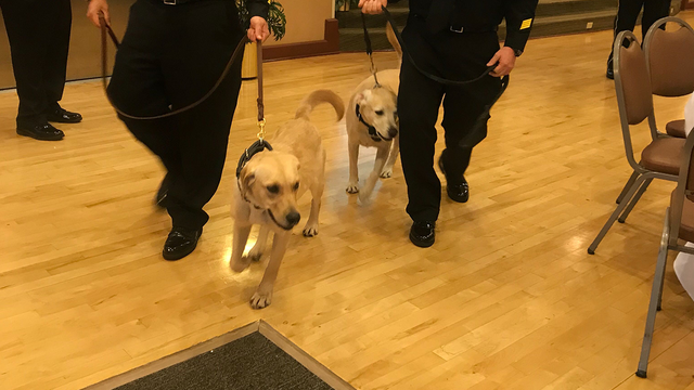 Two new K-9s sworn in to Orange County Corrections