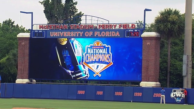Crowds welcome College World Series champion Gators