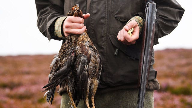 Feds seek to expand hunting at wildlife refuge