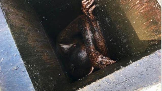 Man stuck in grease vent of Chinese restaurant for two days: Alameda County sheriff