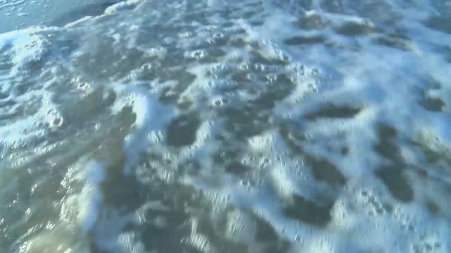 Third person bit at New Smyrna Beach this weekend