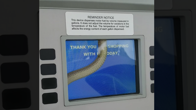 WATCH: Customer spots snake slithering behind gas pump screen