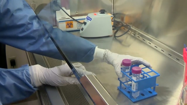 UF researchers help in fight against deadly 'super bug'