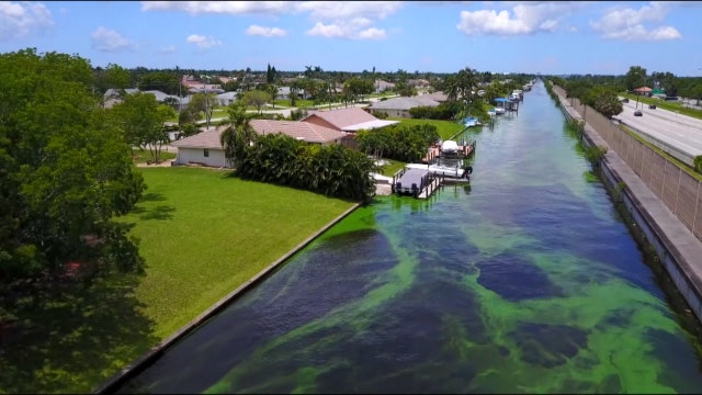 State task force tackles toxic algae