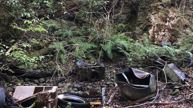 Volunteers work to clean up sinkhole filled with trash