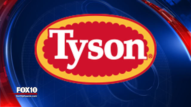 Tyson recalls ready-to-eat chicken fritters after complaints of 'hard plastic' in product