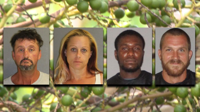 Four people arrested across two Florida counties after picking berries