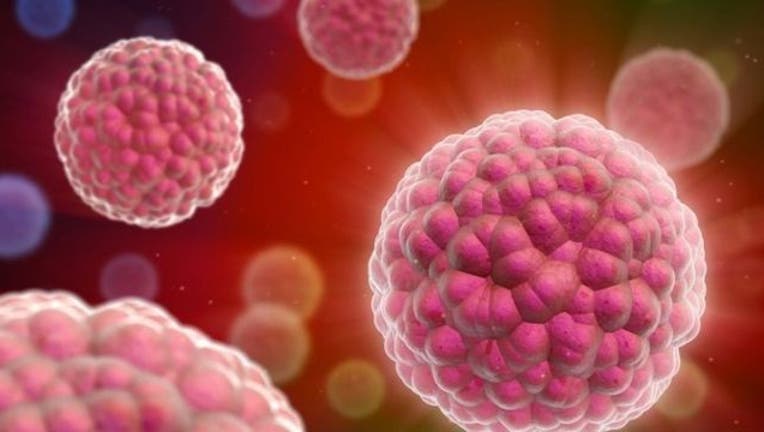 19faec00-cancer cells-404023-404023.jpg