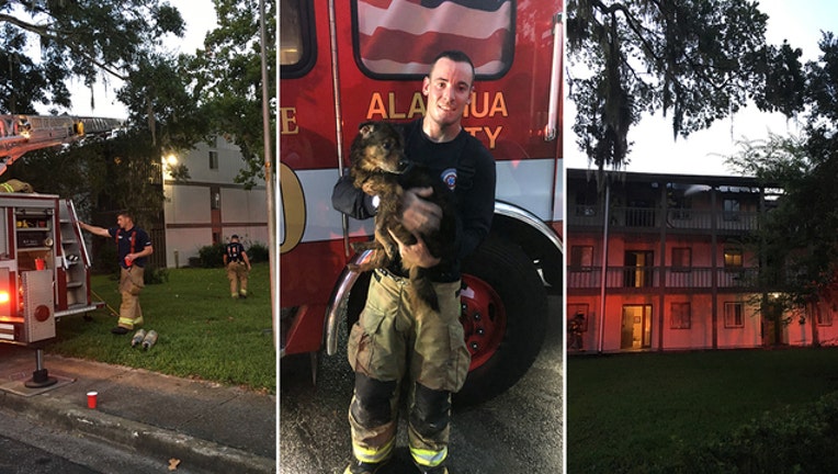 97b4441c-GFD-dog-rescued-fire_1533853422716-402429.jpg