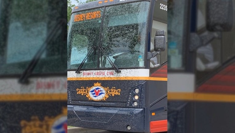 42685cc5-Omar Izquierdo_disney bus lovebug_050719_1557240590313.png-402429.jpg