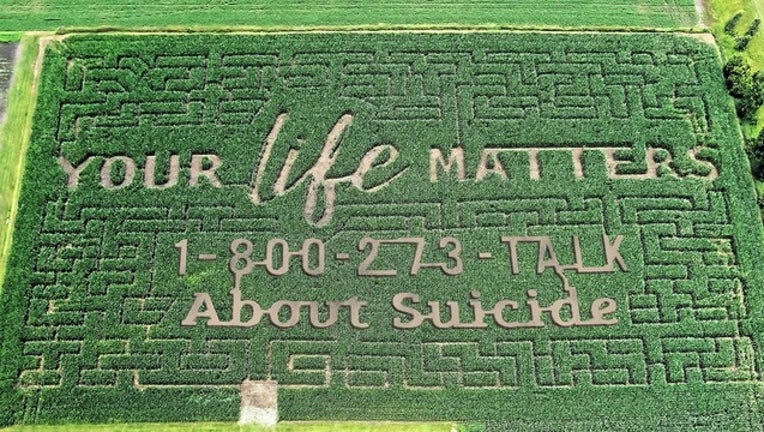 0df91656-corn maze for web_1564753016363.png-402429.jpg
