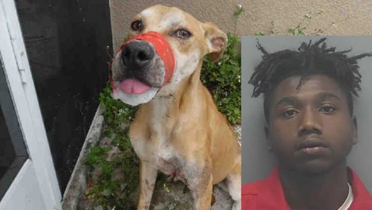 2f3e1e35-deputy chance for web_1558439744935.png-402429.jpg