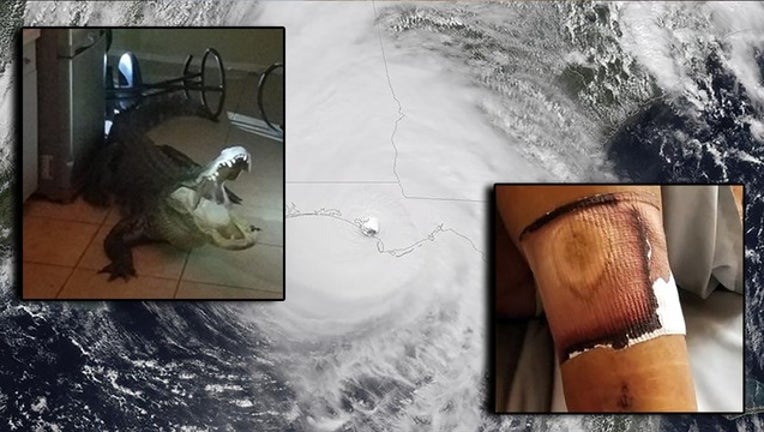 40e0cc62-florida dangers_1562171260809.png-402429.jpg