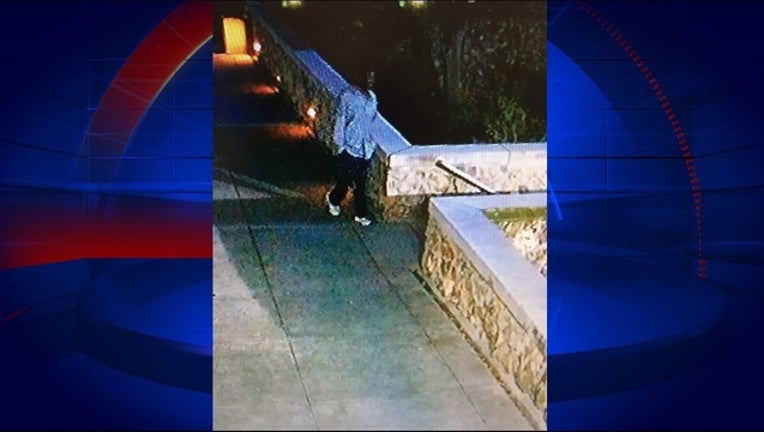 4892585d-gainesville pd attacker_1494421271996-402429.jpg