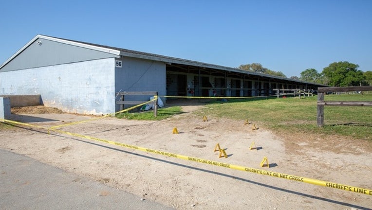 7a42ad93-horse farm in ocala_1553386989929.jpg-402429.jpg