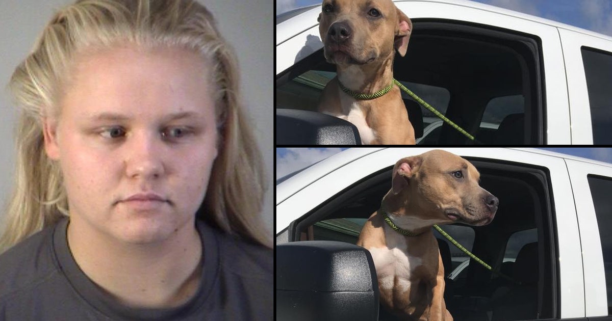Florida woman arrested for abandoning dog in heavy traffic | FOX 51 ...