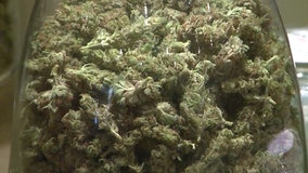 Justices to take up major medical marijuana case