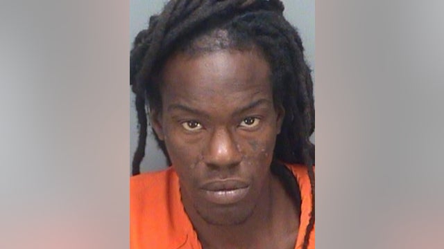 Florida man arrested for kicking baby raccoon and dog, police say