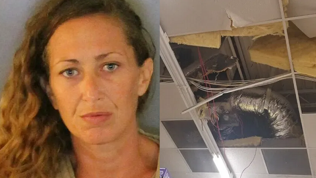 Florida woman leads police on hours-long chase through ceiling after allegedly trying to shoplift