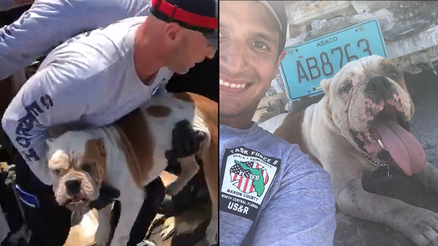 Gainesville firefighters rescue dog trapped under rubble in Bahamas after Hurricane Dorian