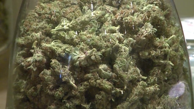 Justices to take up major medical marijuana case