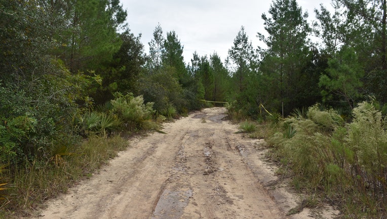 Human-Remains-Ocala-Forest.jpg