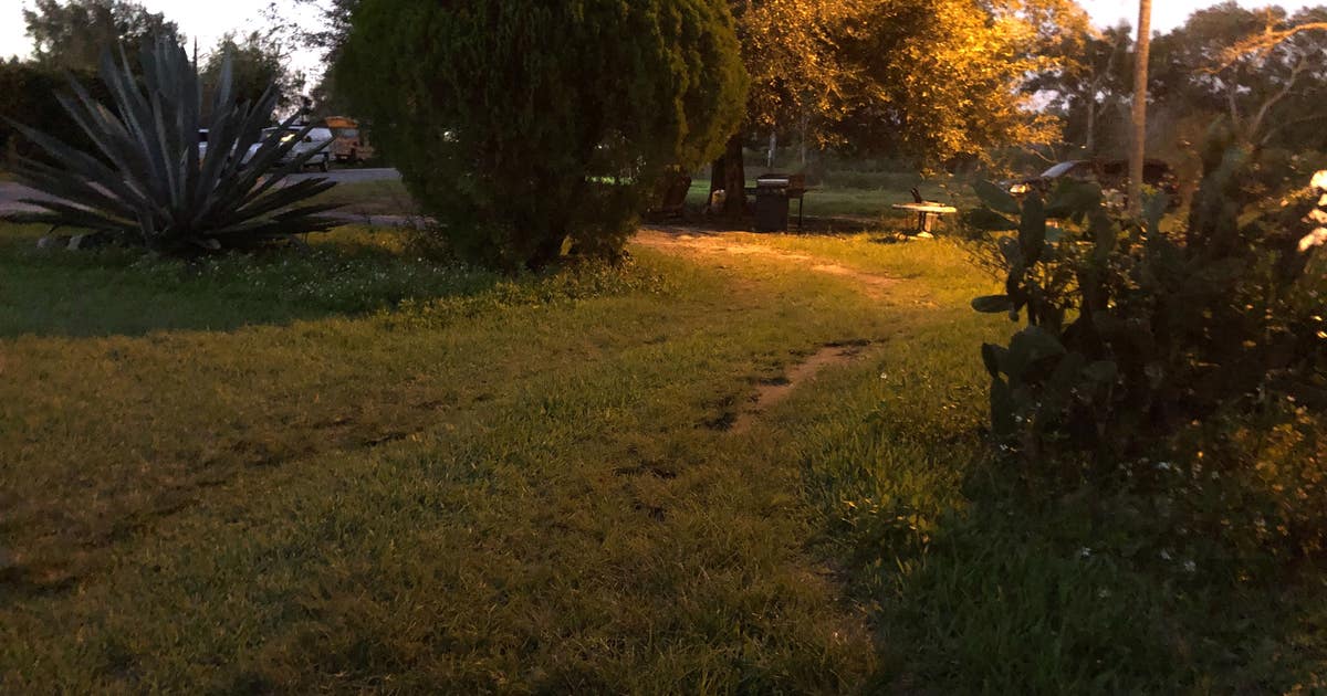 Sumter County deputies investigate after man's body found in yard | FOX ...
