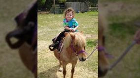 Florida woman says neighbor's dog killed pony