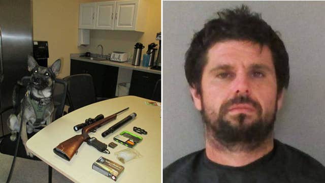 Deputies: Florida K-9's first arrest nabs convicted sex offender with weapons, drugs