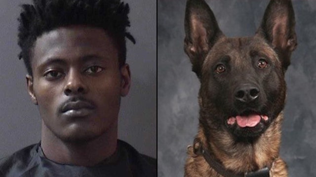Man accused of fatally shooting K-9 said "(expletive) that dog" multiple times after arrest, officer says