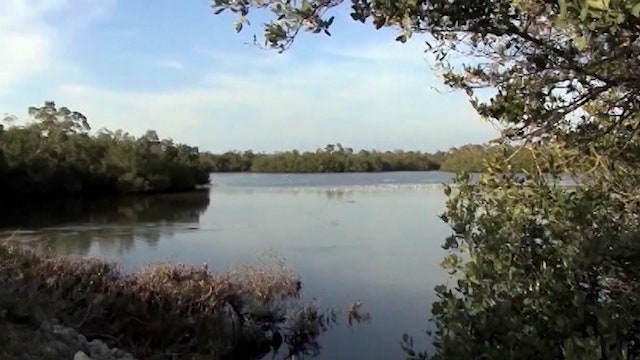 Senators continue to push for land and water conservation money