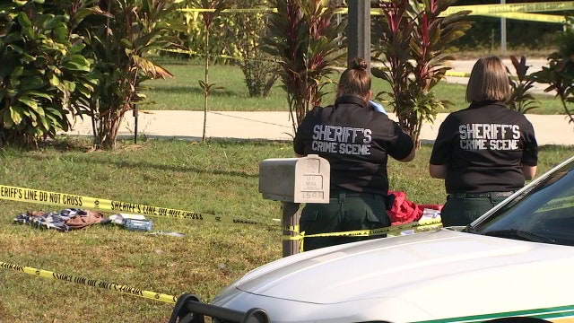 Polk deputy forced to shoot, kill 'distraught' widower, sheriff says