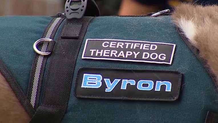 certified-therapy-dog.jpg