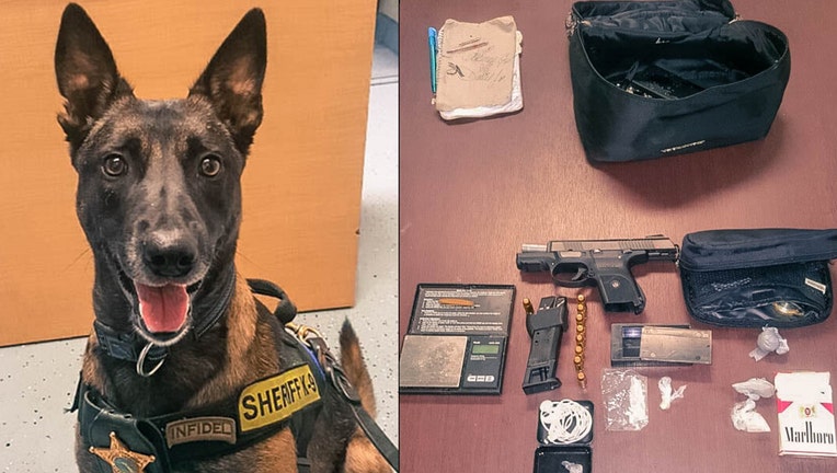 k9-bust.jpg