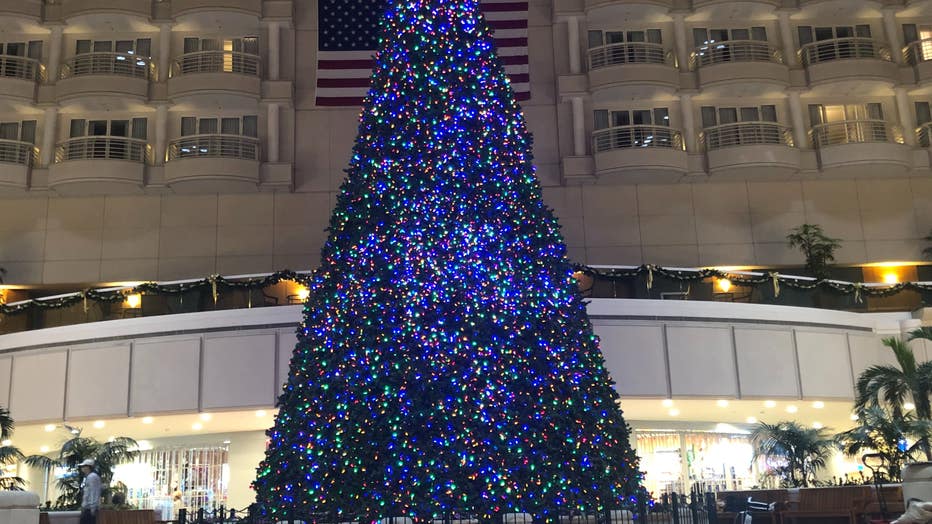 Airport-Christmas-tree.jpg