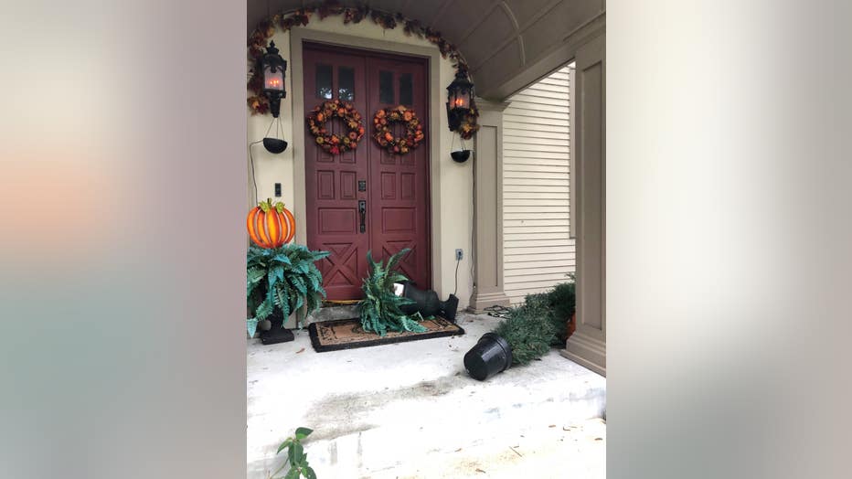 Video Bear Ransacks Front Porch After Woman Leaves Out Apple